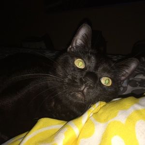 Meet your Posher, Julie