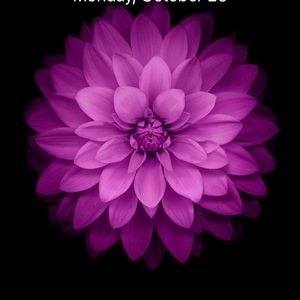 Meet your Posher, Candace