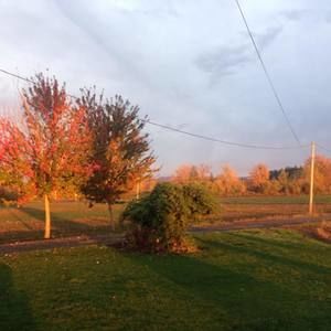 Meet your Posher, Heidi