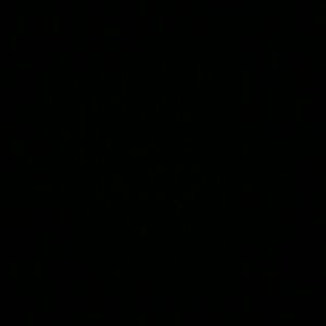 Meet your Posher, Sierra