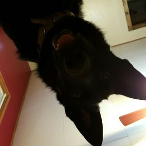 Meet your Posher, Kaylee