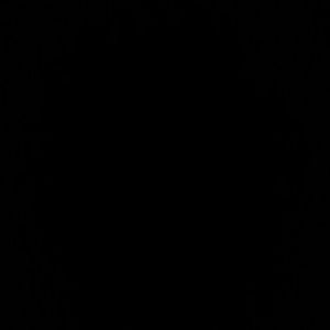 Meet your Posher, Gregg