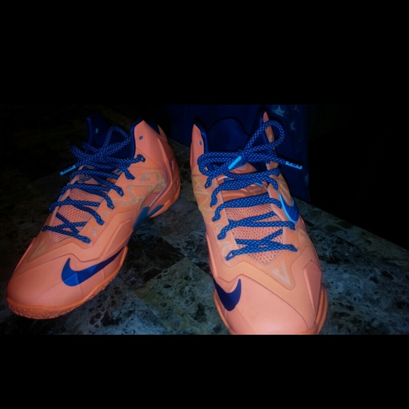 Labrons - Picture 2 of 3