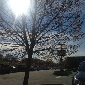 Meet your Posher, Rick