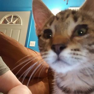 Meet your Posher, Wendy