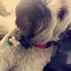 Meet your Posher, Christi