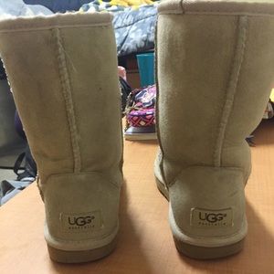 Classic short Uggs in Sand