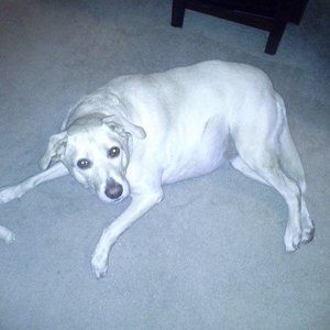 Meet your Posher, Jenna