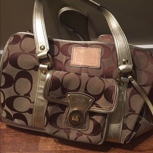 Coach Airline dog carrier