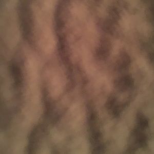 Meet your Posher, Jane