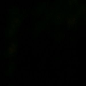 Meet your Posher, Paco