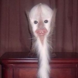 Meet your Posher, Dan