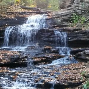 Meet your Posher, Anne