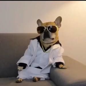 Meet your Posher, Mario