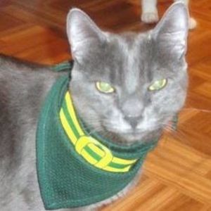 Meet your Posher, Valentine