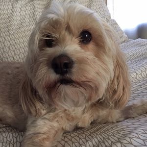 Meet your Posher, Jackie