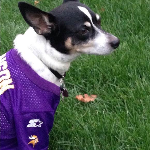 Meet your Posher, Barb - Picture 1 of 1