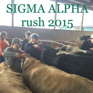 Meet your Posher, Aundriea