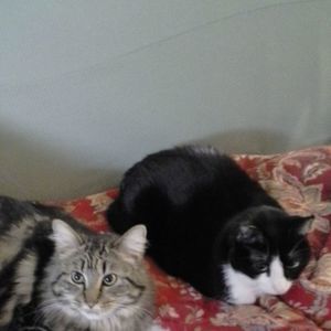 Meet your Posher, Diane