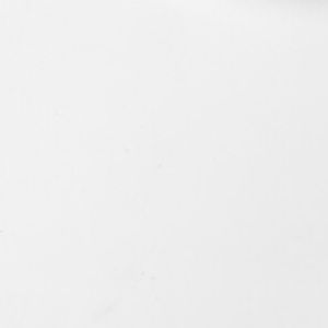 Meet your Posher, Bella