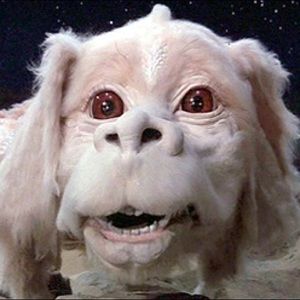 Meet your Posher, Janelle