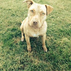 Meet your Posher, Vicki