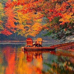 Meet your Posher, Yevette