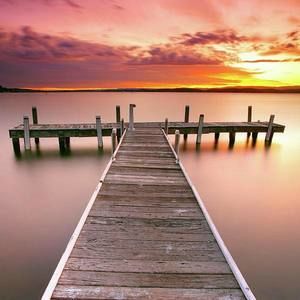 Meet your Posher, Tricia