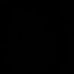 Meet your Posher, Antoinette