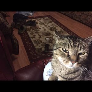 Meet your Posher, Mary