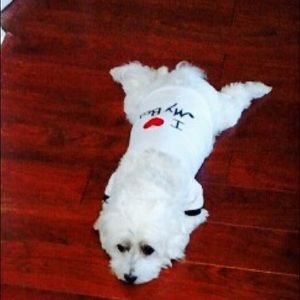 Meet your Posher, Gissele