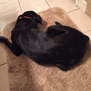 Meet your Posher, Jami