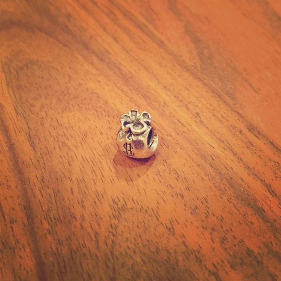 Money Bag Pandora Charm