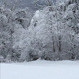 Meet your Posher, Elie