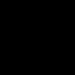 Meet your Posher, Ben