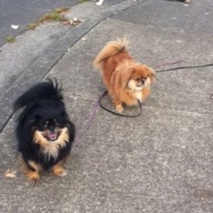 Meet your Posher, Rachel