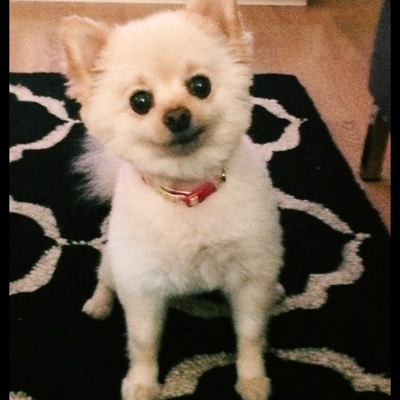 Meet your Posher, Christi - Picture 2 of 4