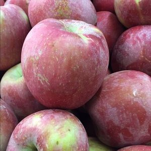 Meet your Posher, Lorna