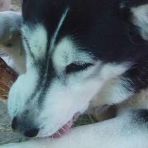 Meet your Posher, Debbi