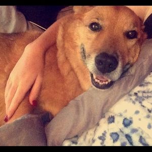 Meet your Posher, Brianna