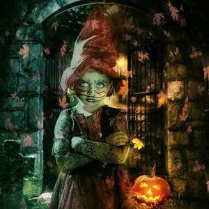 Meet your Posher, Armin