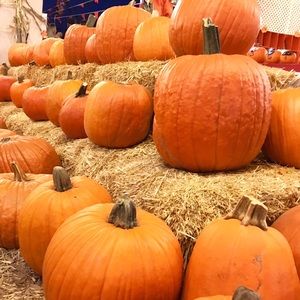 Meet your Posher, Kellie