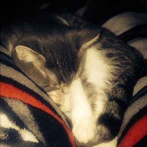 Meet your Posher, Jillian