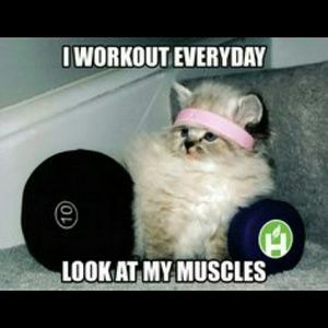 Meet your Posher, William