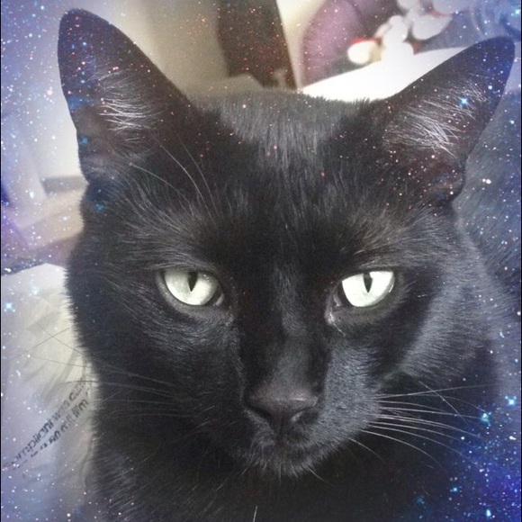 I only follow posh compliants! 😊 - Picture 4 of 4