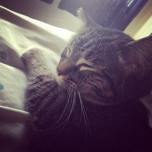 Meet your Posher, Leanne