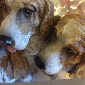 Meet your Posher, Alma