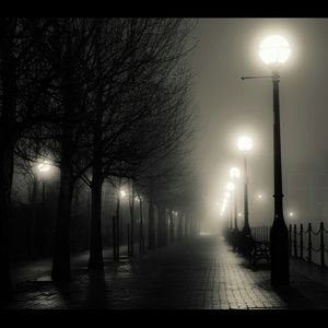 Meet your Posher, Cherie