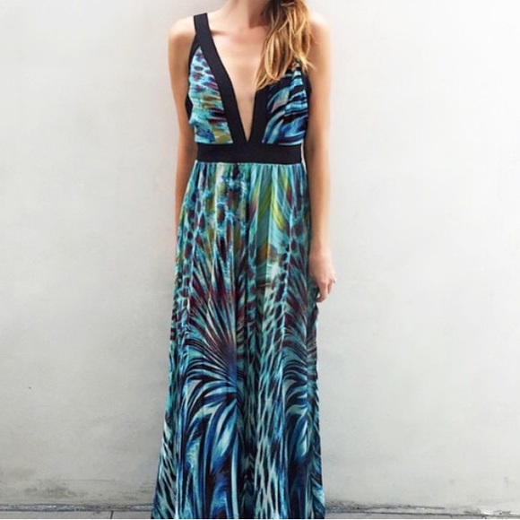 Dresses & Skirts - Stunning Vici collection Tropical Maxi dress- NWT