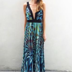 Stunning Vici collection Tropical Maxi dress- NWT